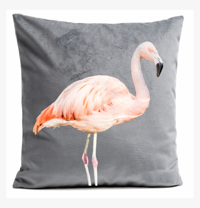 Pillow Cover, transparent png