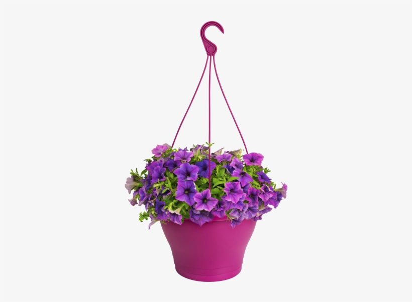 Home > Collection > Corsica Hanging Basket - Artificial Flower, transparent png