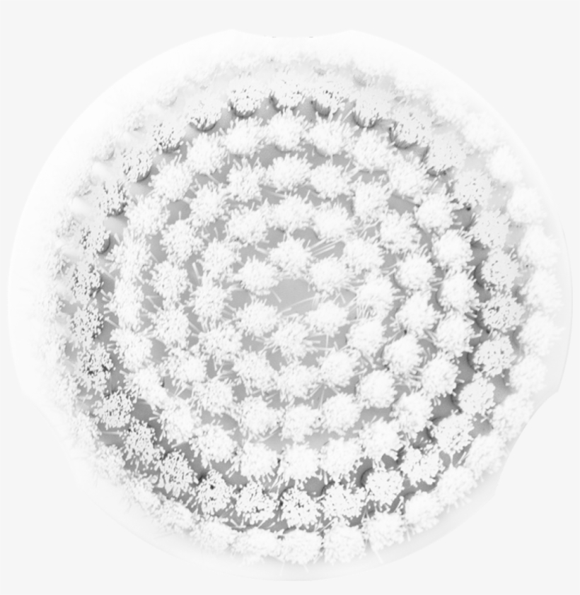 Sensitive Brush Head - Richard Long, transparent png