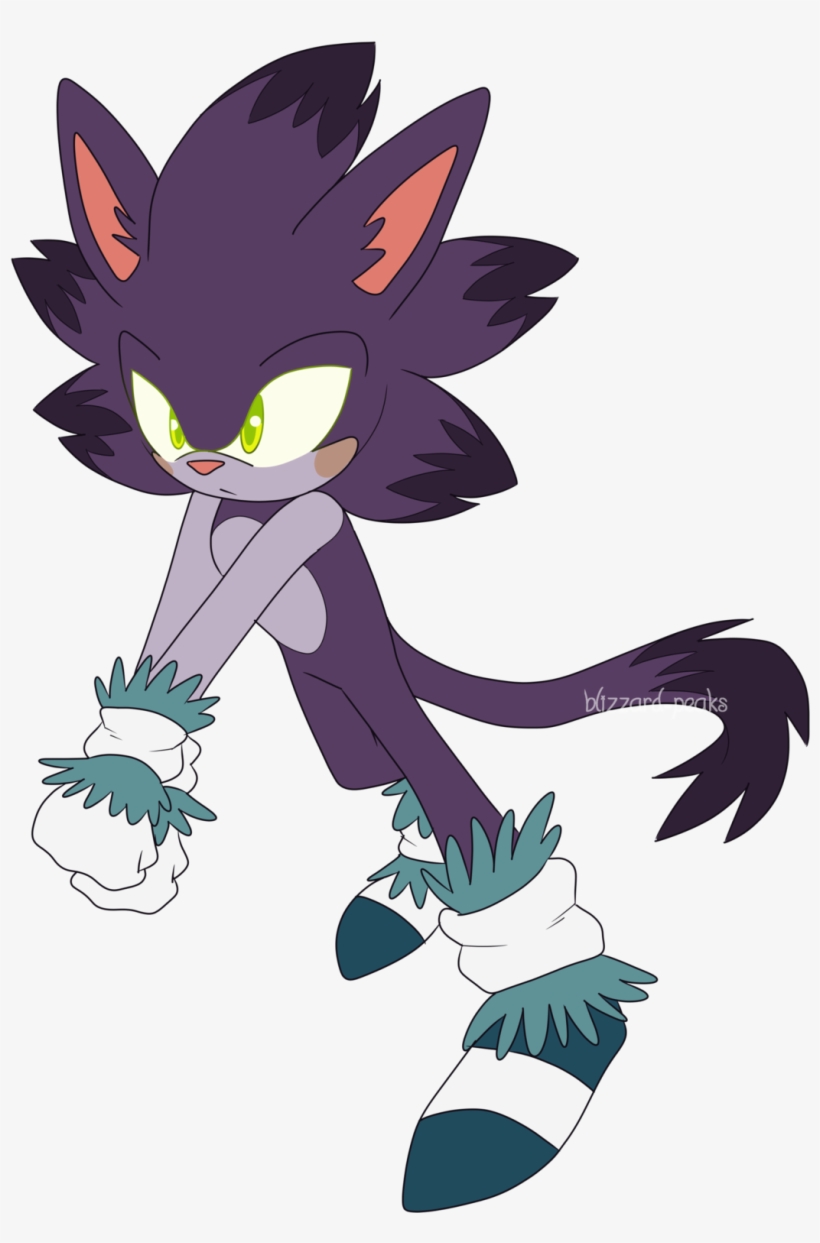 Another Sonic Nextgen This Boy Is Cynder The Cat, The - Cartoon, transparent png