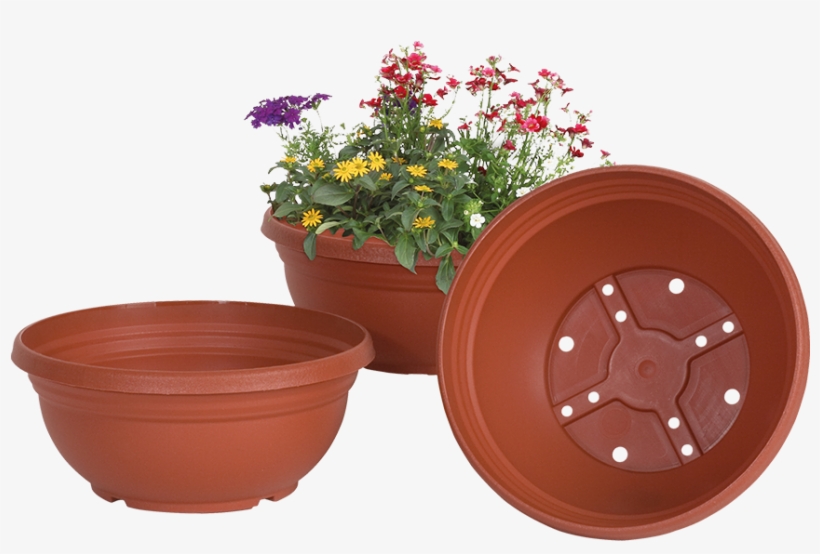 Flowerpot, transparent png