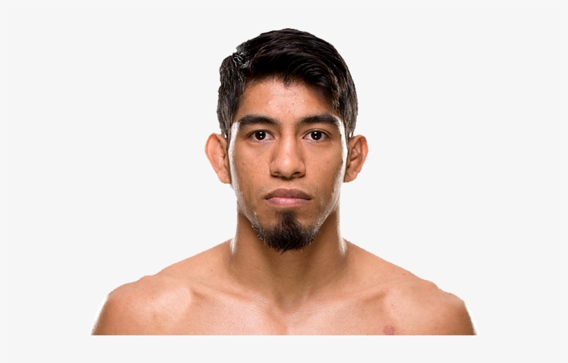 Iaquinta Ufc, transparent png