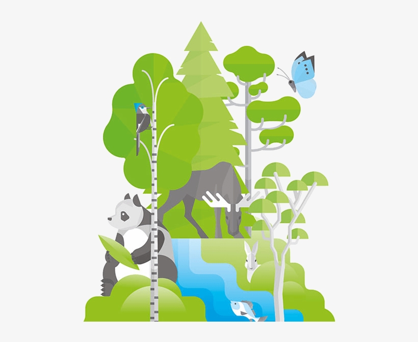 Stora Enso Code - Illustration, transparent png