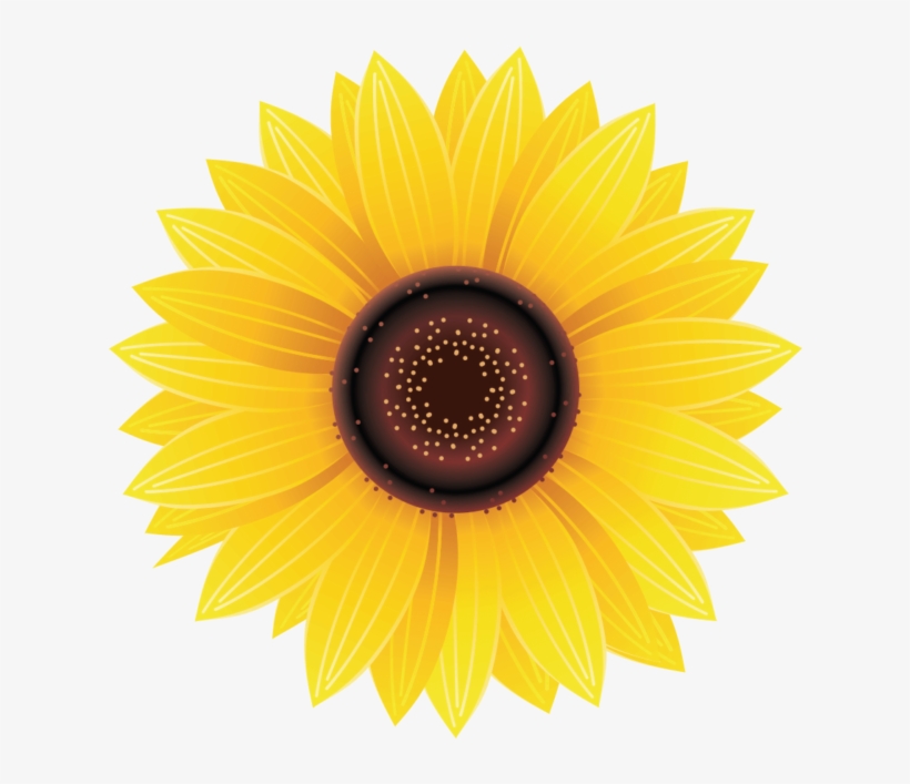 Sunflower Stock, transparent png