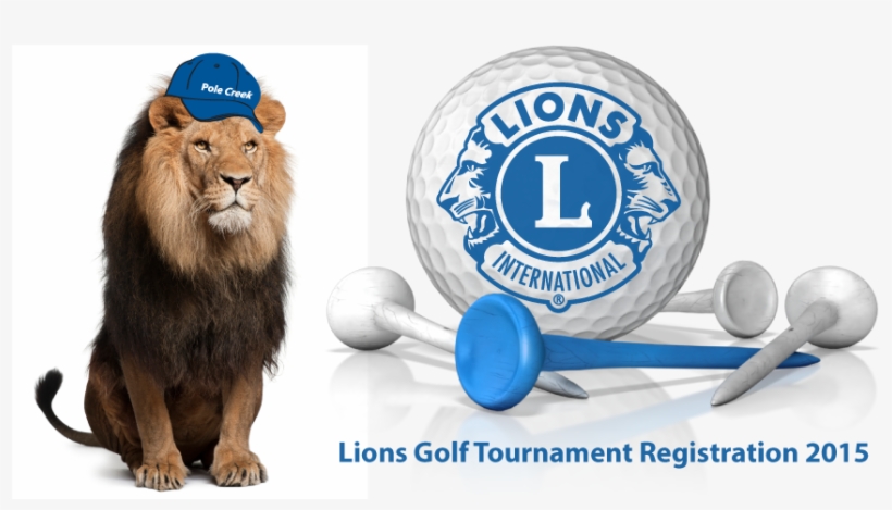 Golf Ball And Tees With Lion - Leones Con Fondo Blanco, transparent png