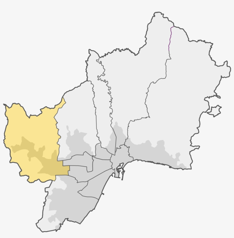 Distrito Palma Palmilla Barrios, transparent png