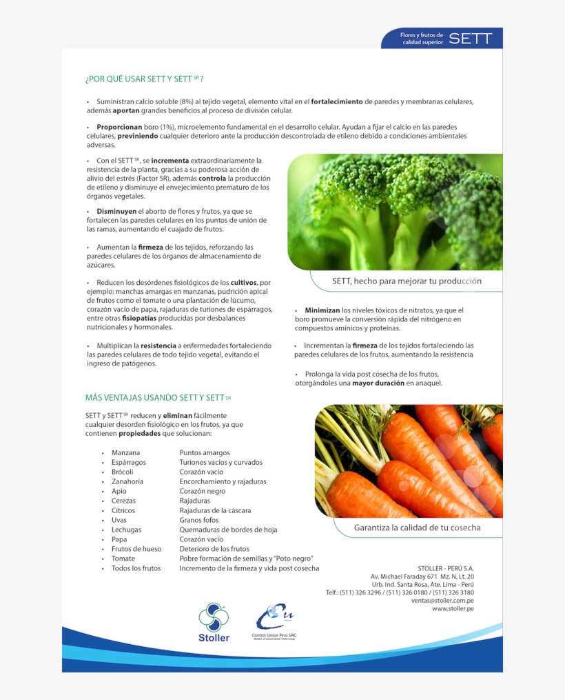 Brocoli, transparent png