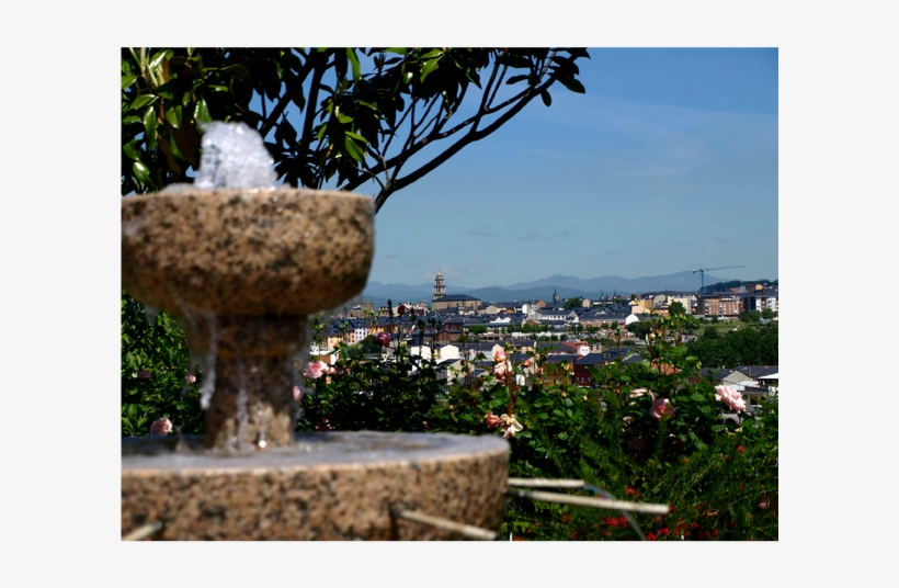 Photo Taken At Restaurante Embajadores By Business - Tree, transparent png