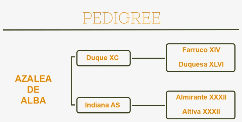 Related Projects - Number, transparent png