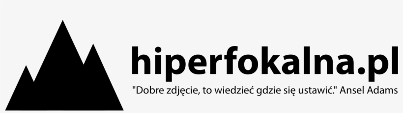Logo - Black-and-white, transparent png