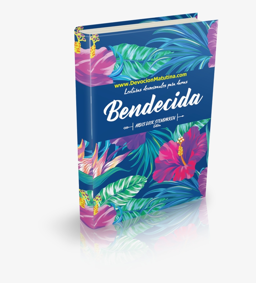 Reparador De Un Corazón Roto - Devocionales Para Mujeres, transparent png