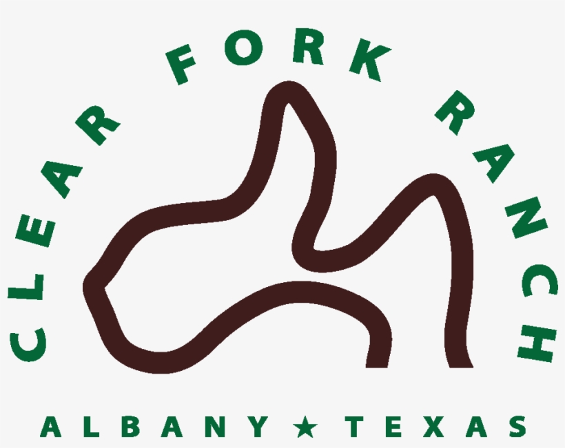 Calligraphy, transparent png