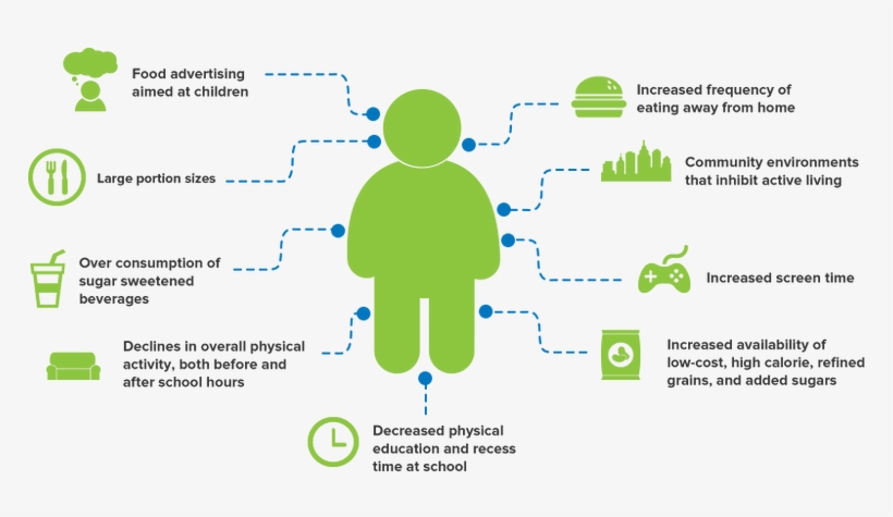 Causes Of Obesity - Childhood Obesity Factors, transparent png