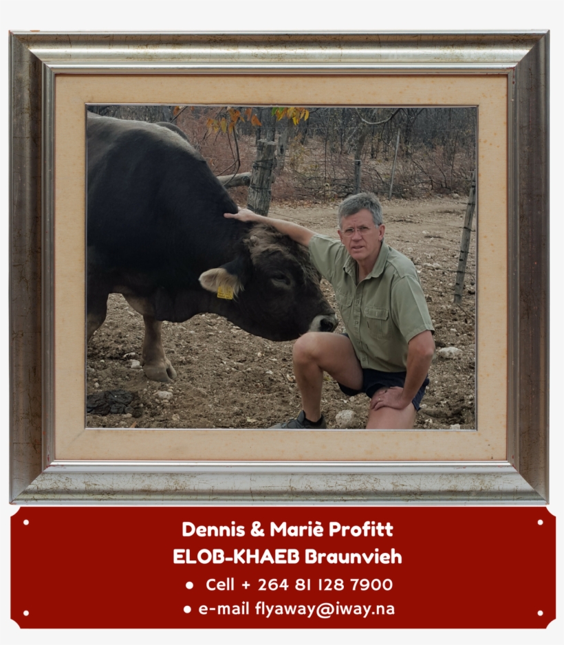 Download File - Picture Frame, transparent png