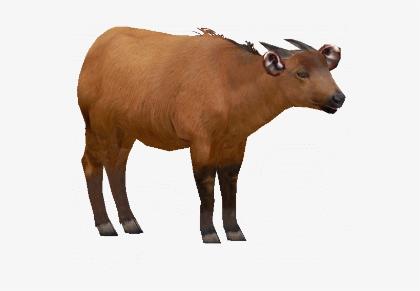 Congoam - Zt2 Congo Buffalo, transparent png