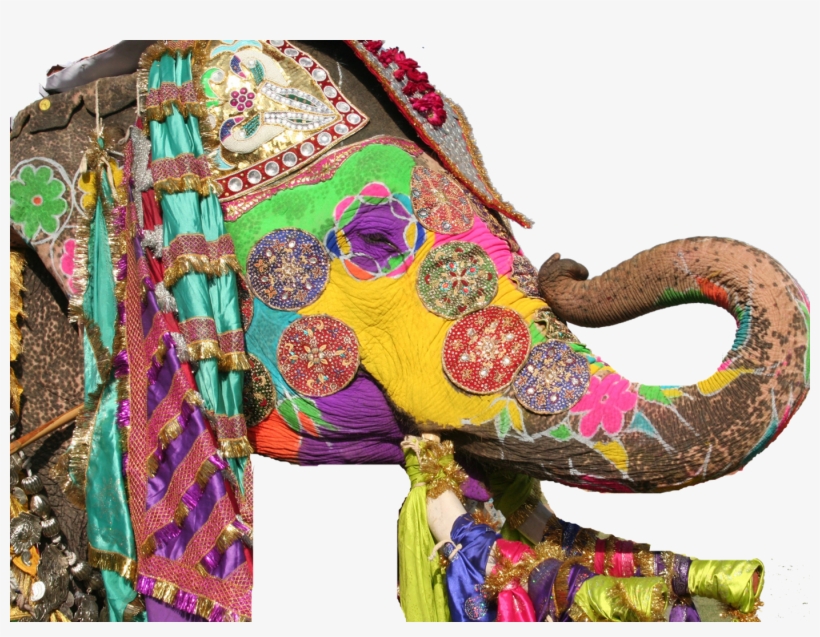 Jaipur Elephant Festival Png Photo Background - Festival, transparent png