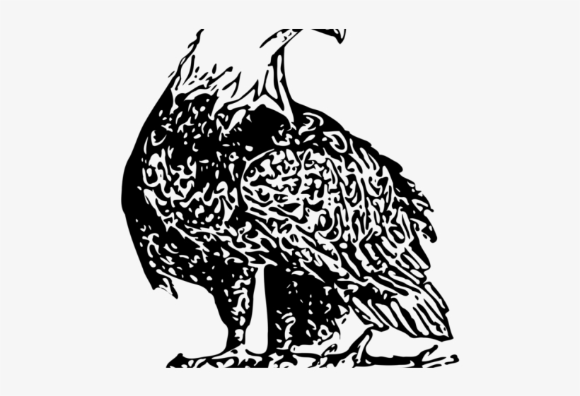 Black Eagle Clipart Eagle Nest - Bald Eagle, transparent png