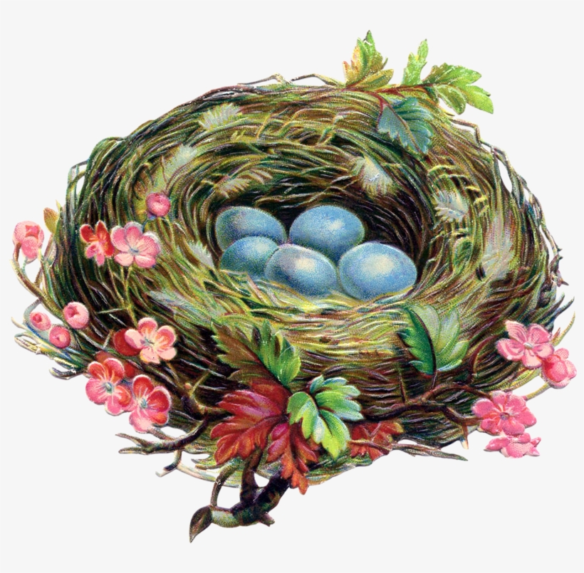 Яндекс - Фотки - Vintage Robin Nests, transparent png