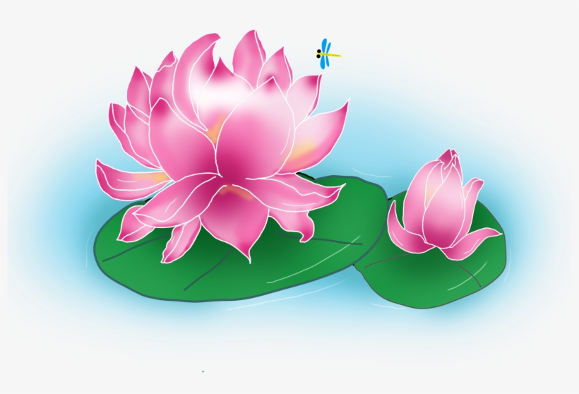 Lotus D'été Scène De D'étang Png Et Psd - Sacred Lotus, transparent png