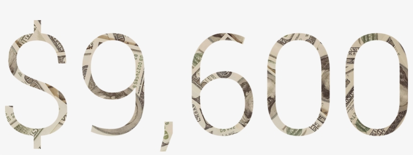 Monthly Revenue - Python, transparent png