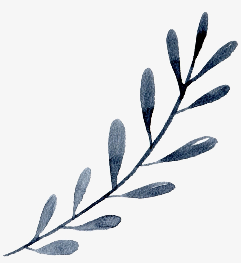 Blue-grey Leaf - Twig, transparent png