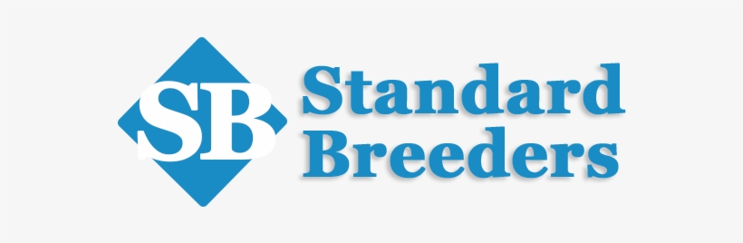 Graphic Design, transparent png