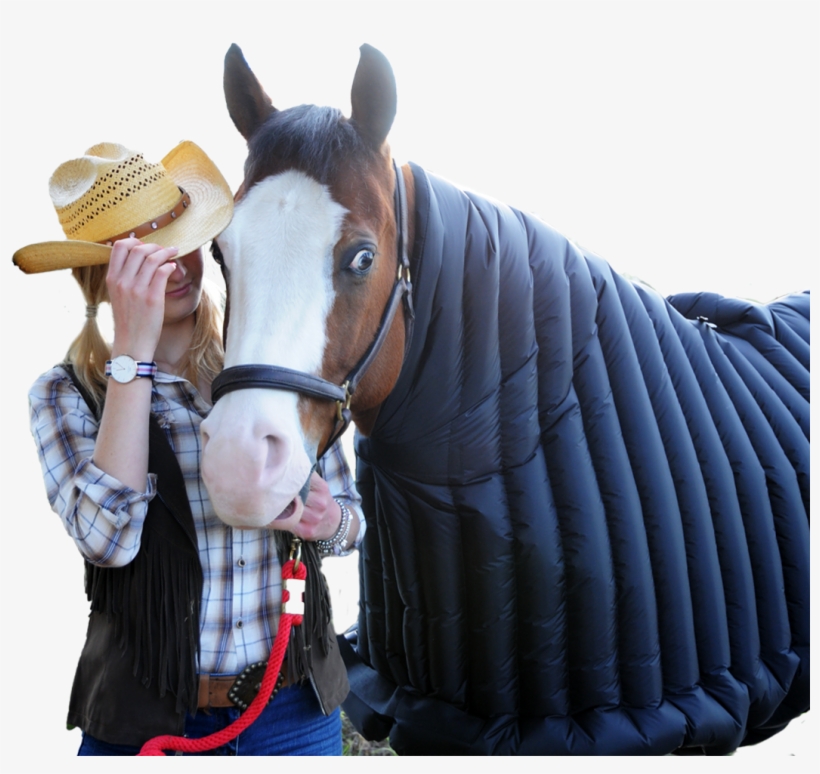 Discover Now - Mare, transparent png