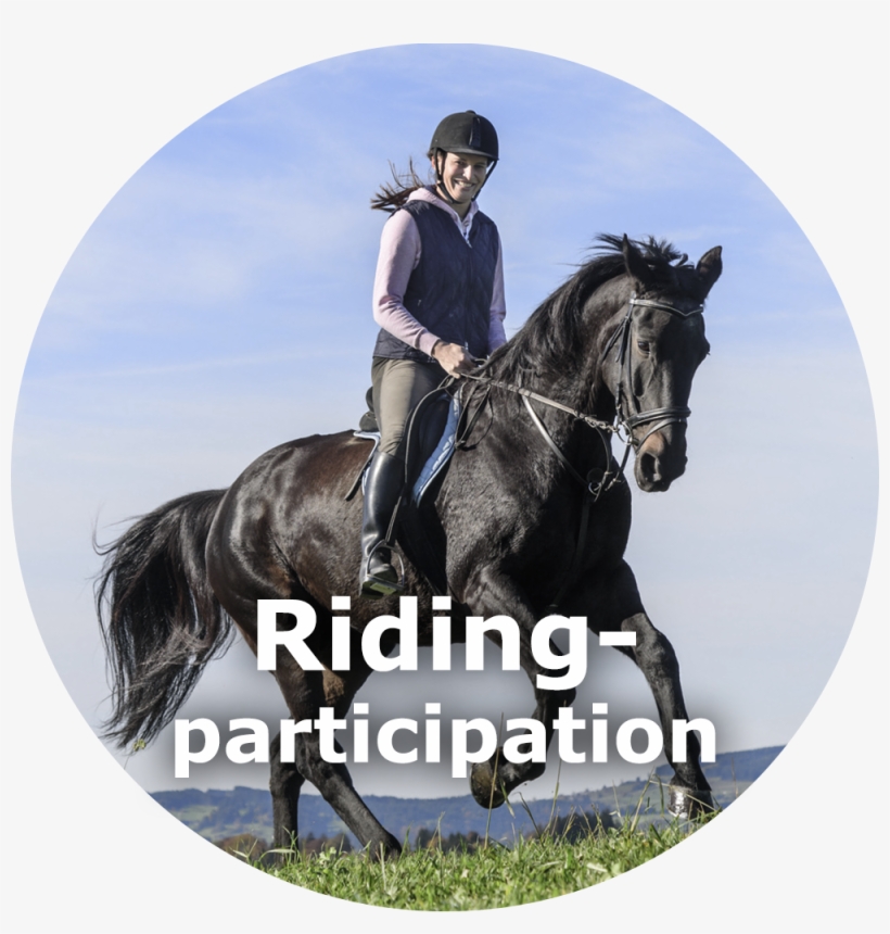 Parti Des Sans Parti, transparent png