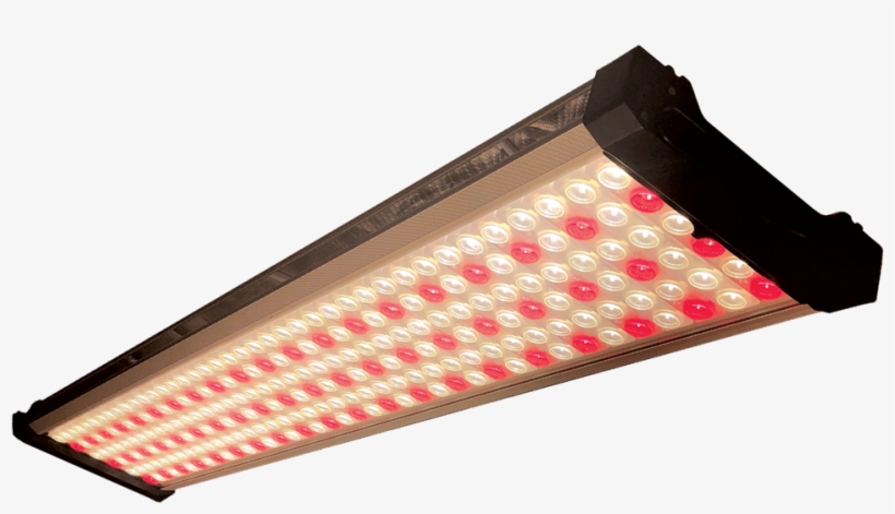 Led Grow Lights - Light, transparent png