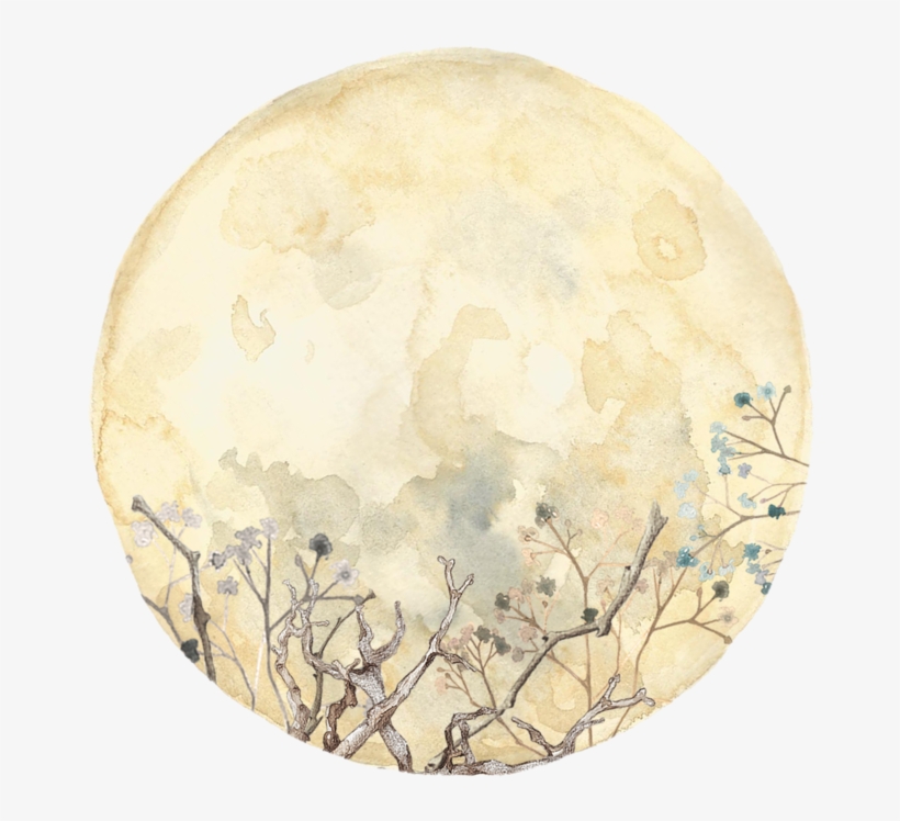 "compare It To The Moon Cecilua, What You've Been Taught - Circle, transparent png