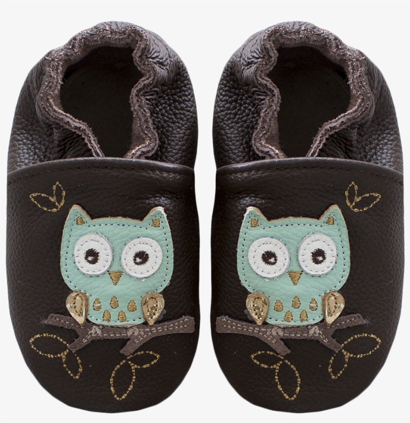 Night Owl Brown - Bird Of Prey, transparent png