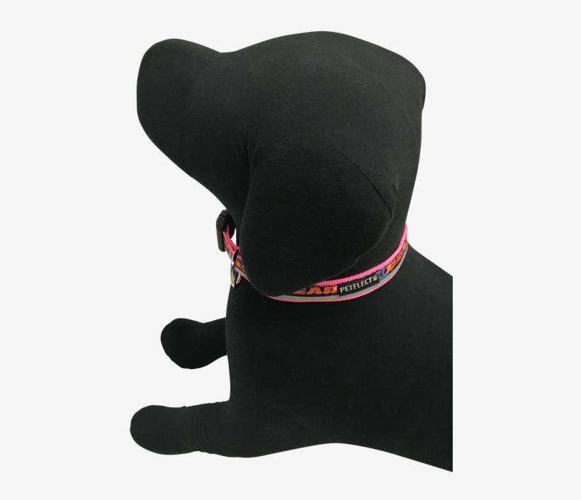 Chicago Bears Dog Collar - Baseball Cap, transparent png