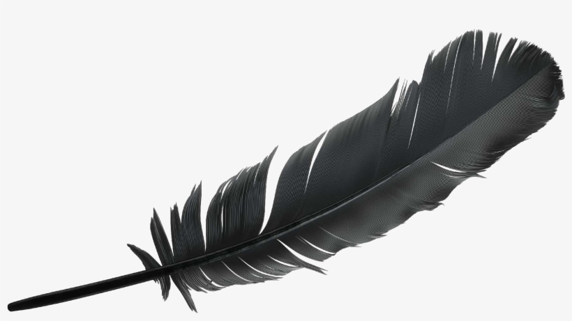 Have Been Looking Up At The Birds And Wondering What - Amazon Blue Origin Logo, transparent png