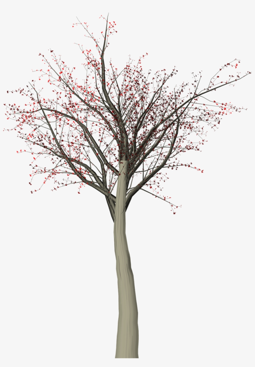 Tree Leaves Autumn - Art, transparent png