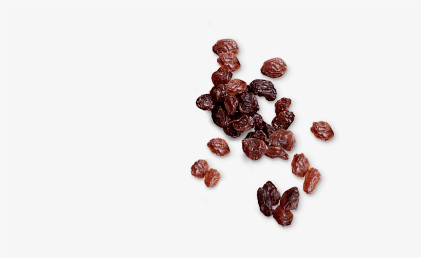 Left Vignette - - Raisin, transparent png