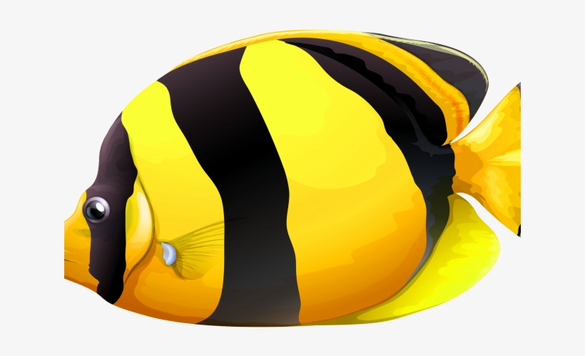 Butterflyfish Clipart Fish Tank - Vagabond Butterflyfish, transparent png