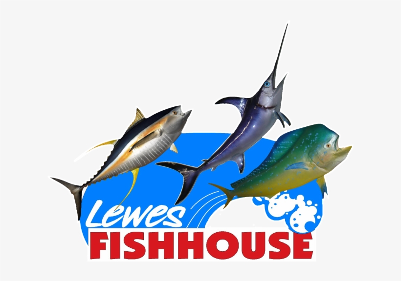 Atlantic Blue Marlin, transparent png