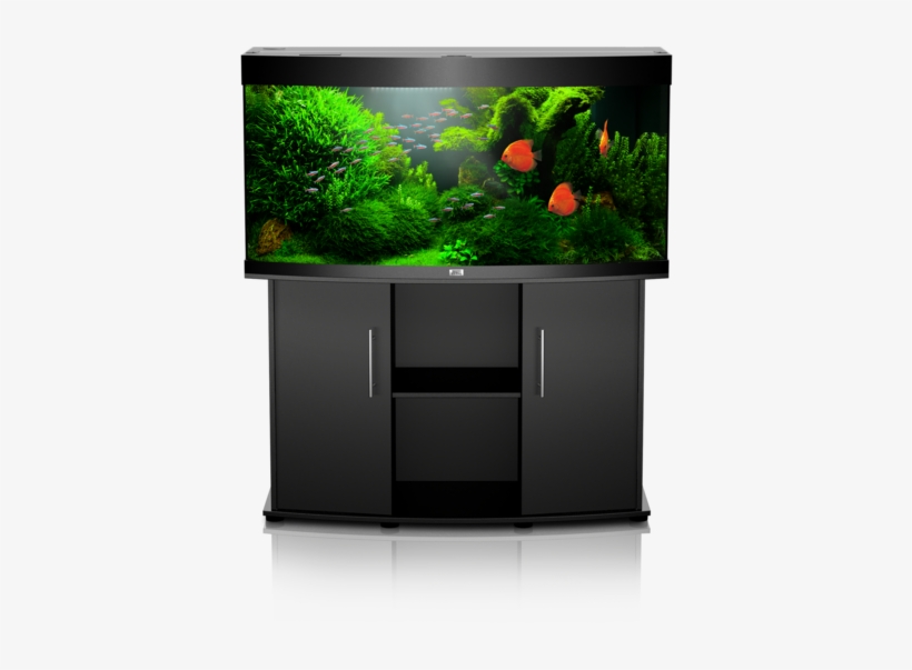 Novolux Led White Novolux Led White Novolux Led White - Juwel Aquarium, transparent png