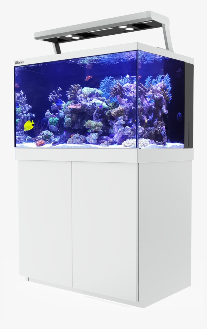 930 X 1500 1 - Red Sea Reefer Deluxe 450, transparent png