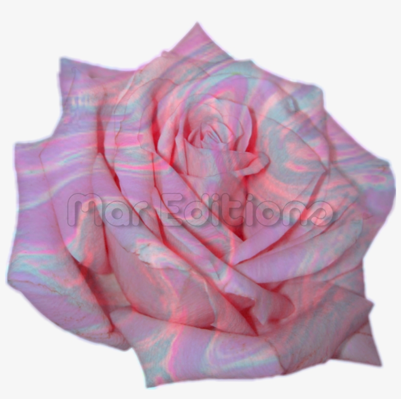 New Sticker 💕🌸 Flor Tumblr En Png Para Tus Edits😍👑, transparent png