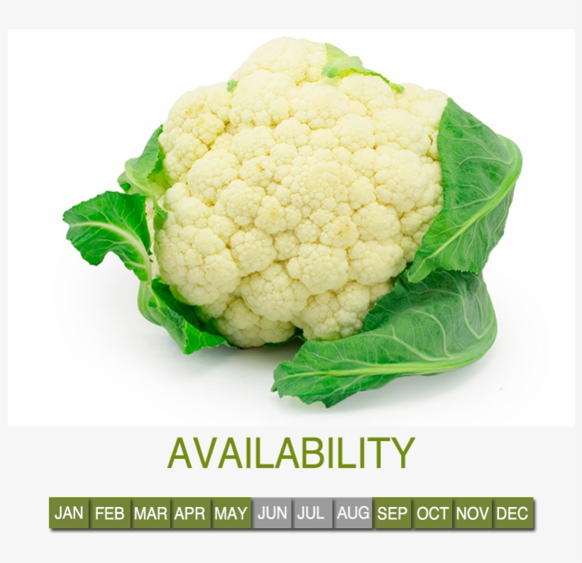 Request Information - Gobi Png, transparent png