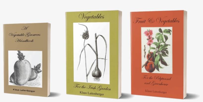 Buy Books - Persian Buttercup, transparent png