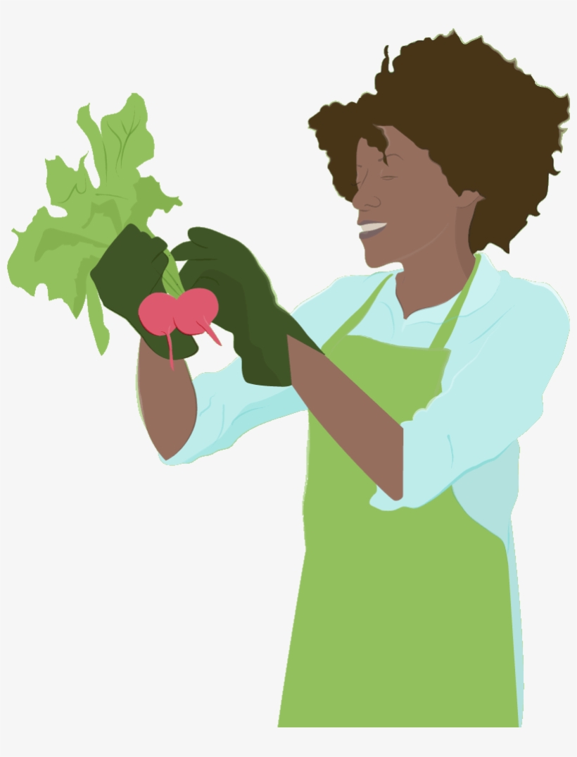 Woman Vegetable Gardening - Strawberries, transparent png