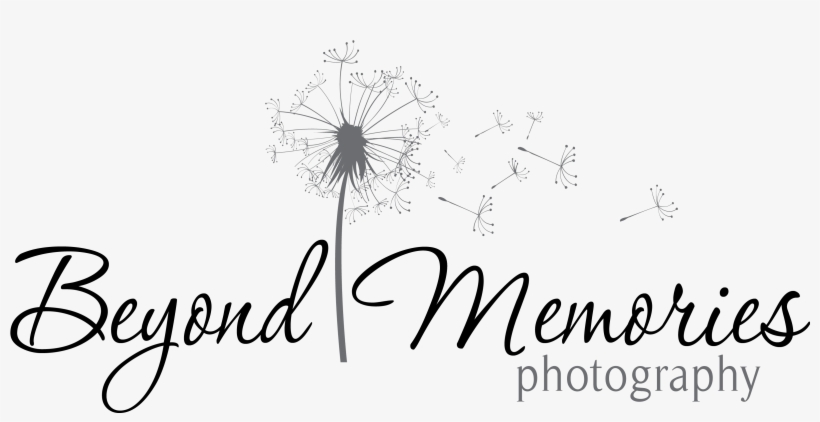 Beyond Memories Photography - Pesca, transparent png