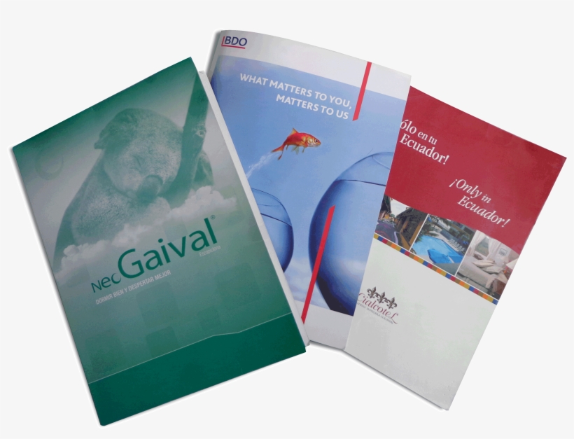 Diseño Carpetas Corporativas - Flyer, transparent png