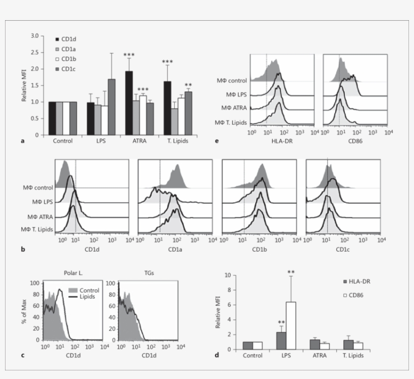 Olive Pollen Lip - Illustration, transparent png