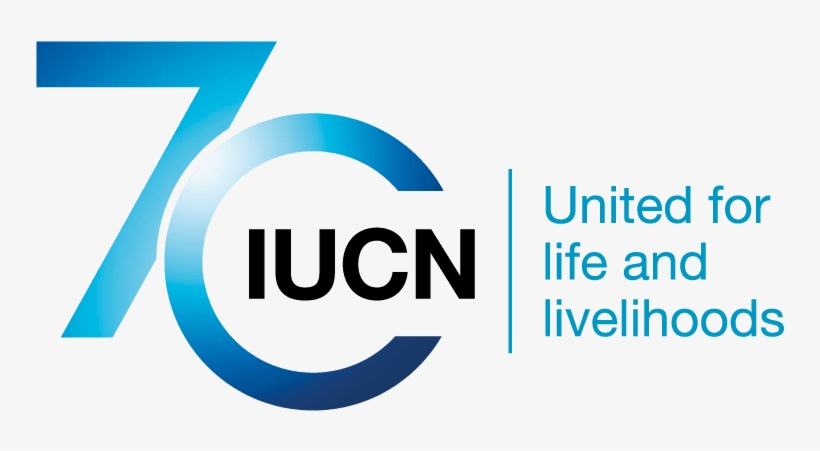 Interested In Becoming A World Chimpanzee Day Partner - International Union For Conservation Of Nature And, transparent png