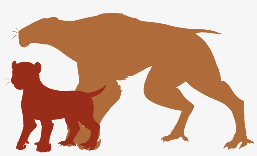 Zbx2tup - Illustration, transparent png