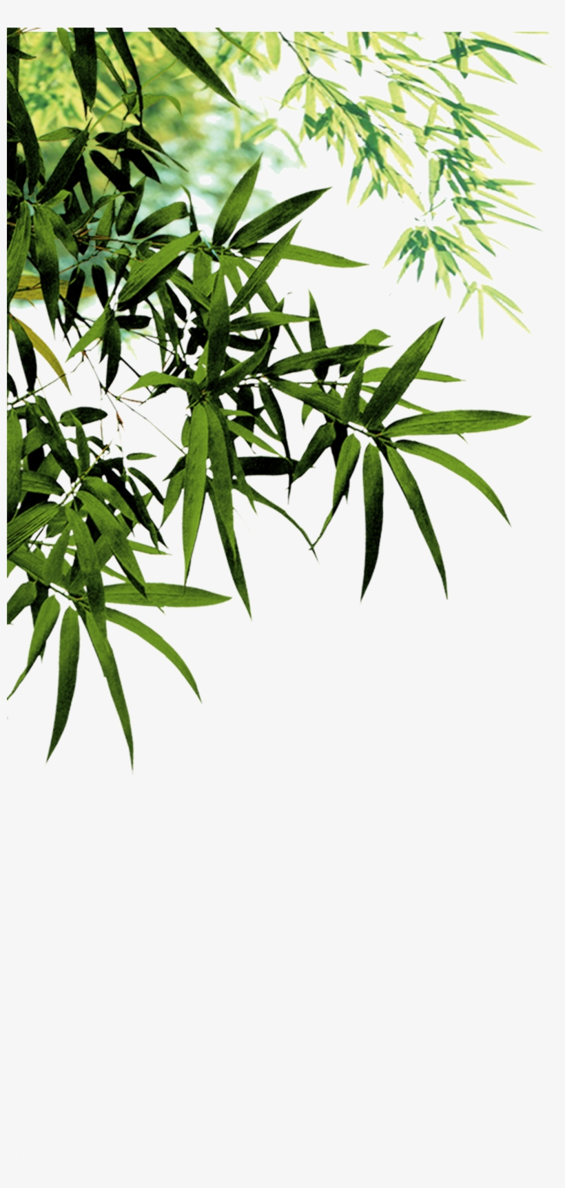 Clipart Library Anji County Charcoal Software Transprent, transparent png