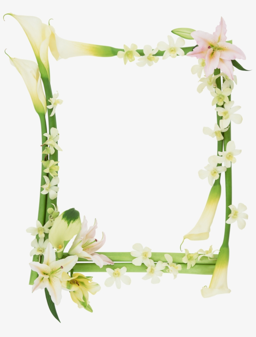 Go To Image - Mau Chu Sang Tao Dep Nhat, transparent png